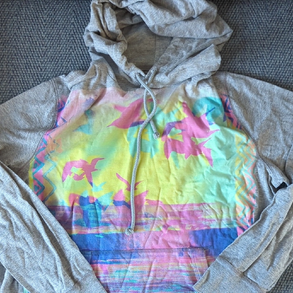 American Eagle Outfitters Gray Hoodie with Multicolor Print